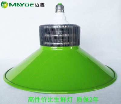 工礦燈/生鮮燈套件：專業豬肉燈外殼，提升生鮮展示照明效果