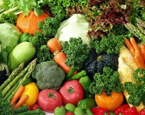 加盟硯祥有機(jī)蔬菜 把握綠色健康商機(jī)