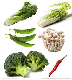 蔬菜圖片的藝術(shù)與價(jià)值 從視覺(jué)到營(yíng)養(yǎng)的全方位解讀